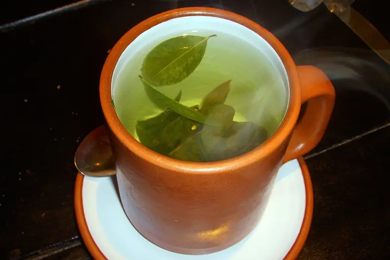 Taza de mate de coca con hojas
